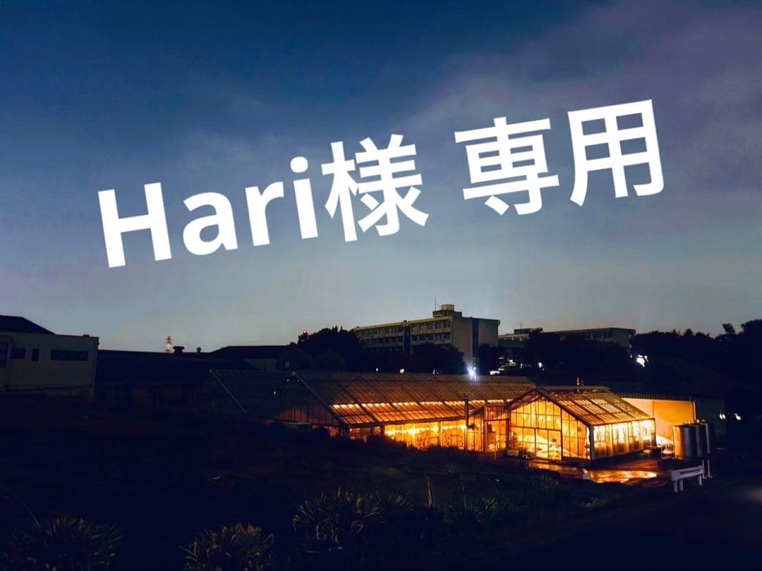 Hari