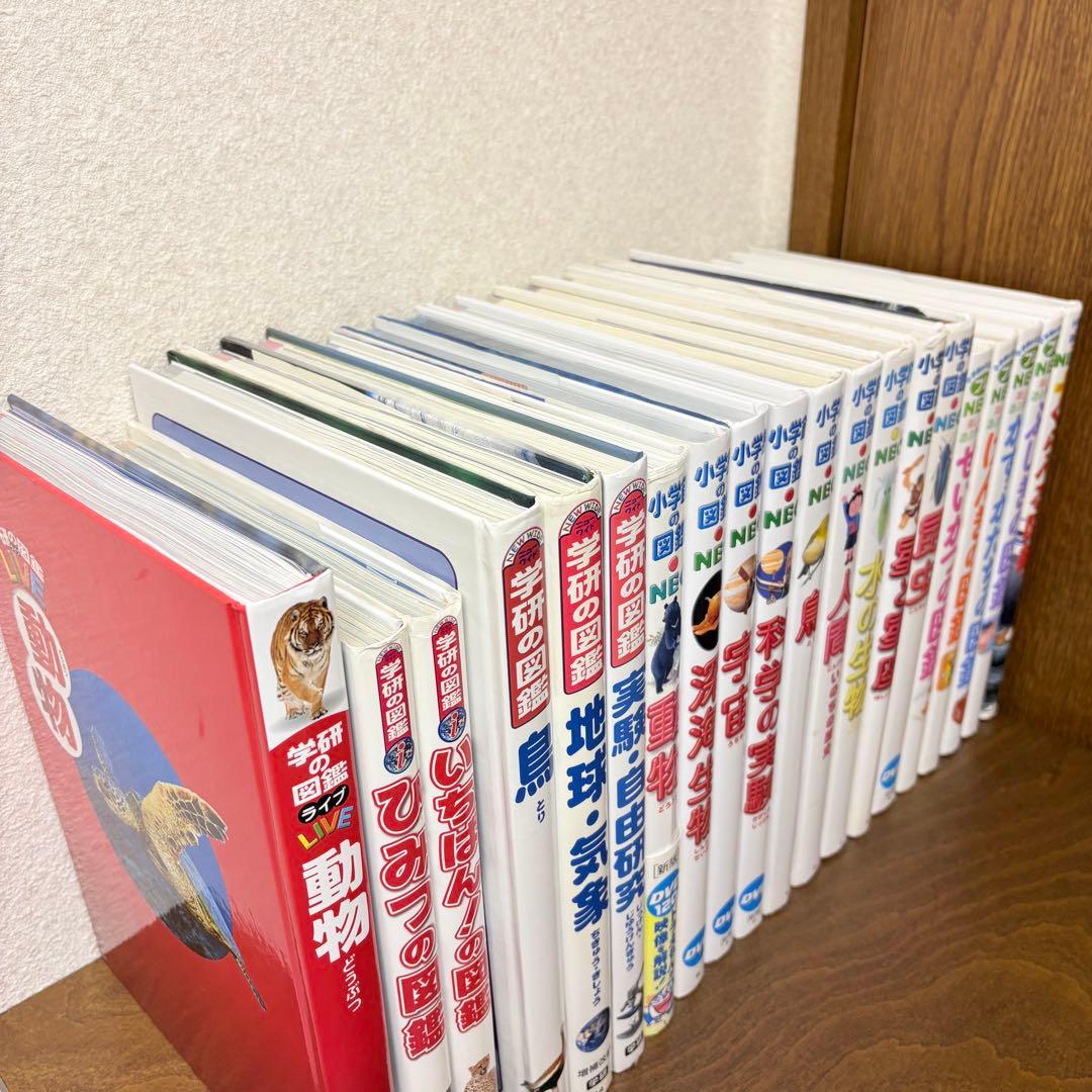 小学館の図鑑NEO 14巻セット