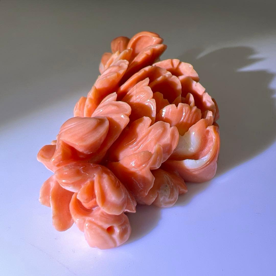 本赤珊瑚　大振バラ彫刻　31g 東Y8-0203☆2F