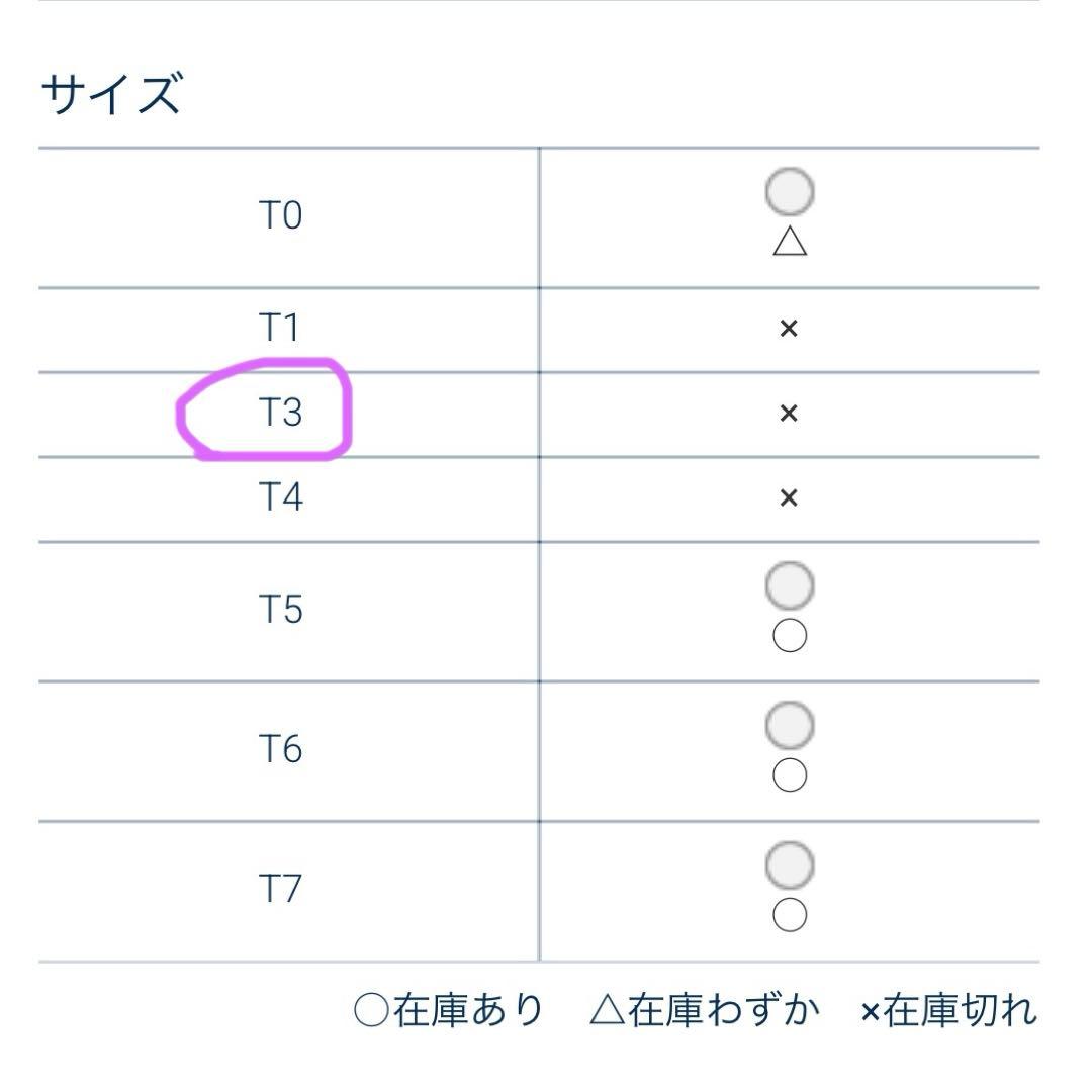 セントジェームス　ウェッソンボーダー 白　ガリレオブルー　T3