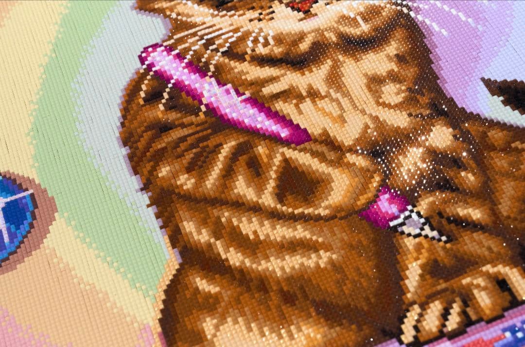 ダイヤモンドアートクラブ DAC キット 猫