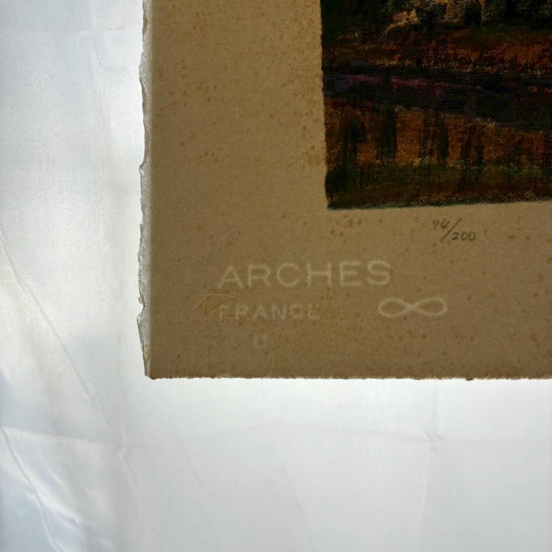 田崎廣助「桜島」リトグラフ 印章有 エンボス印有 額縁入り 田崎広助 鹿児島