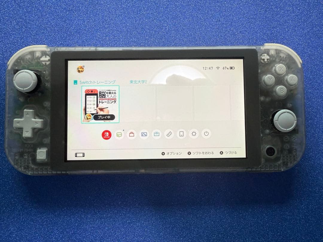 【ジャンク品】　Nintendo Switch Lite 外装交換品