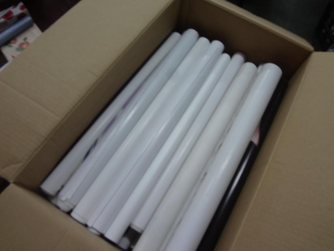 アニメ・ゲーム関連　●ダブリなし●　B２入手困難非売品ポスター１００本セット