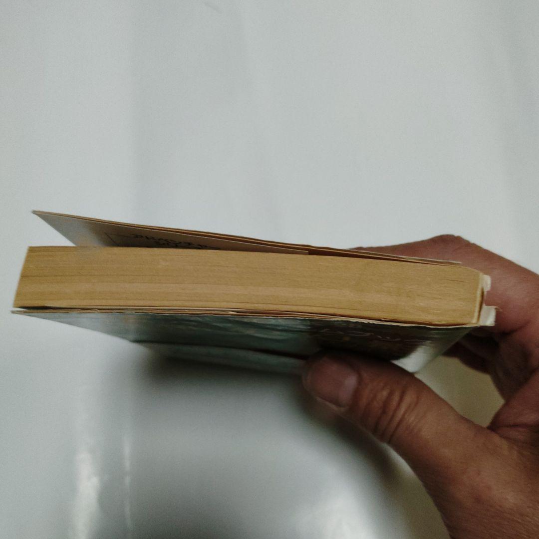 恐怖の幻影　アドベンチャーゲームブック　希少本