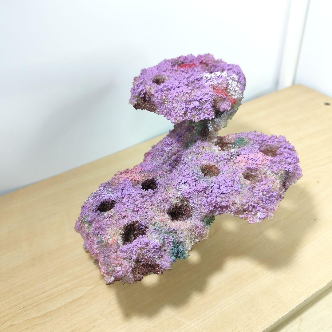 プラグ穴付き アク抜き不要人工ライブロック 海水水槽 レプリカ コーラルフラグ2