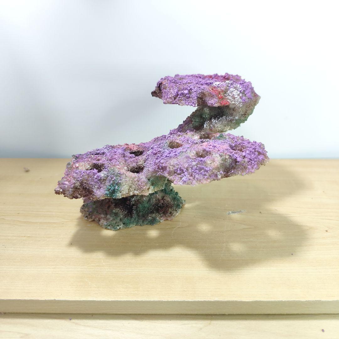 プラグ穴付き アク抜き不要人工ライブロック 海水水槽 レプリカ コーラルフラグ2