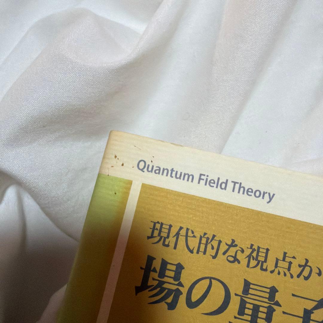現代的な視点からの場の量子論 発展編
