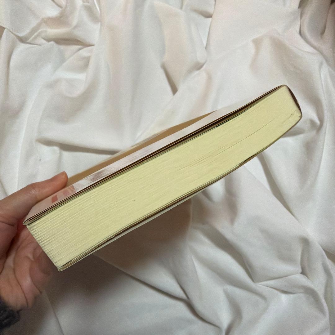 現代的な視点からの場の量子論 発展編