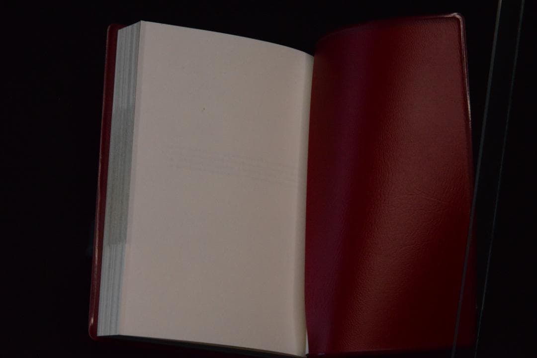 【 Quitonasto Form Chanmair Mao Tungest】