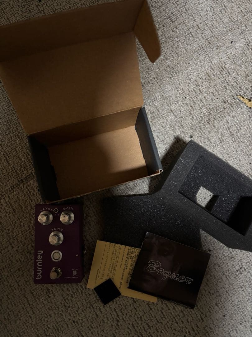 ギター Bogner Burnley