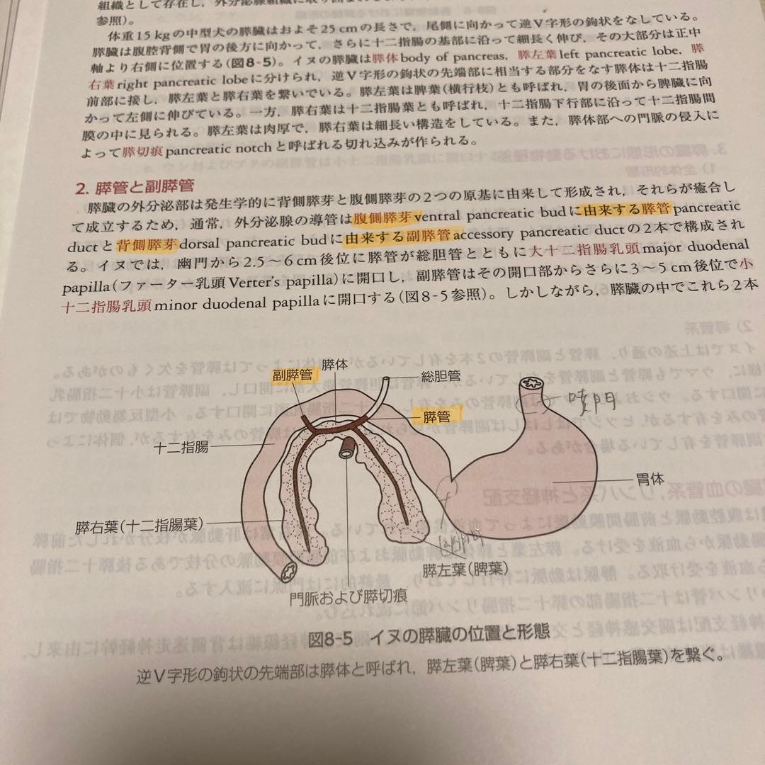 カラーアトラス獣医解剖学、コアカリ獣医解剖・組織・発生学