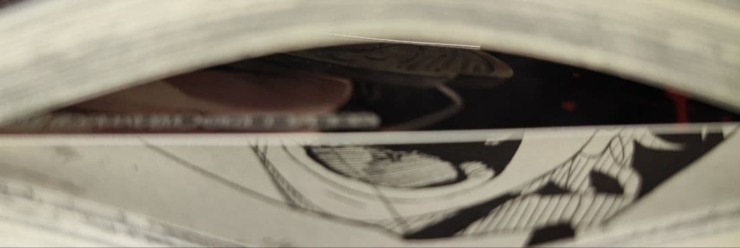 シュリンク 未開封 カグラバチ 初版 特典付き