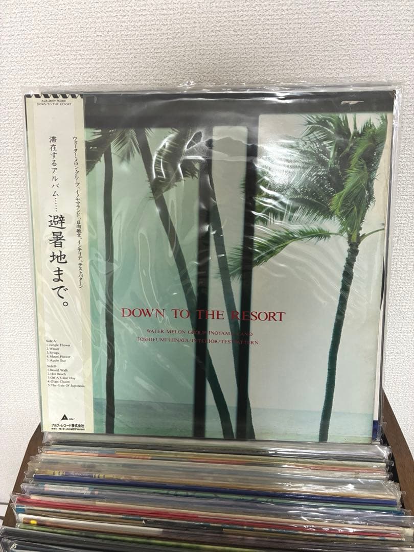 【希少LP】避暑地まで。 DOWN TO THE RESORT 細野晴臣 鈴木茂