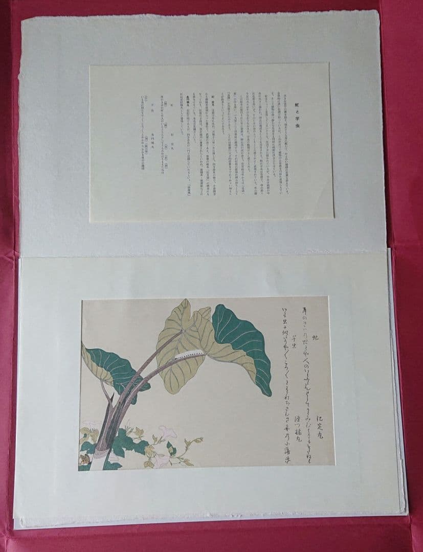 喜多川歌麿筆 逸品 虫えらみ 全15図 古法純手摺木版画