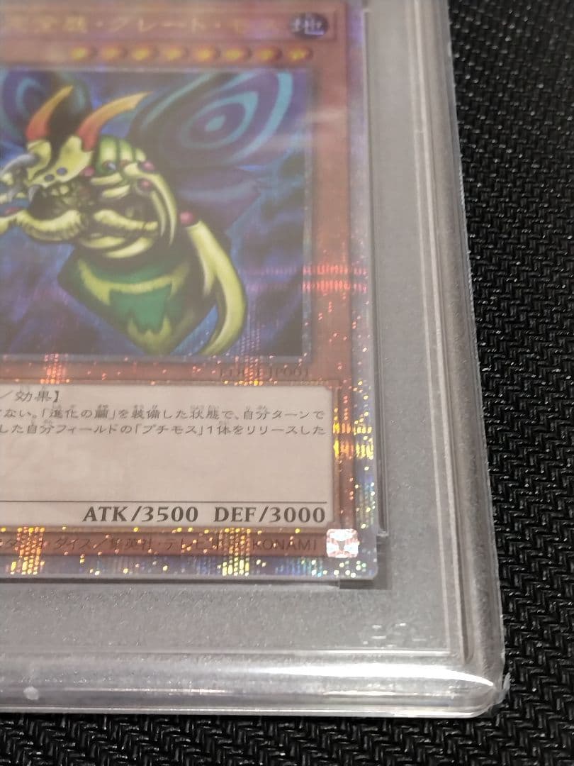 遊戯王【PSA10】究極完全態・グレート・モス　ホーリー・ナイト・ドラゴン