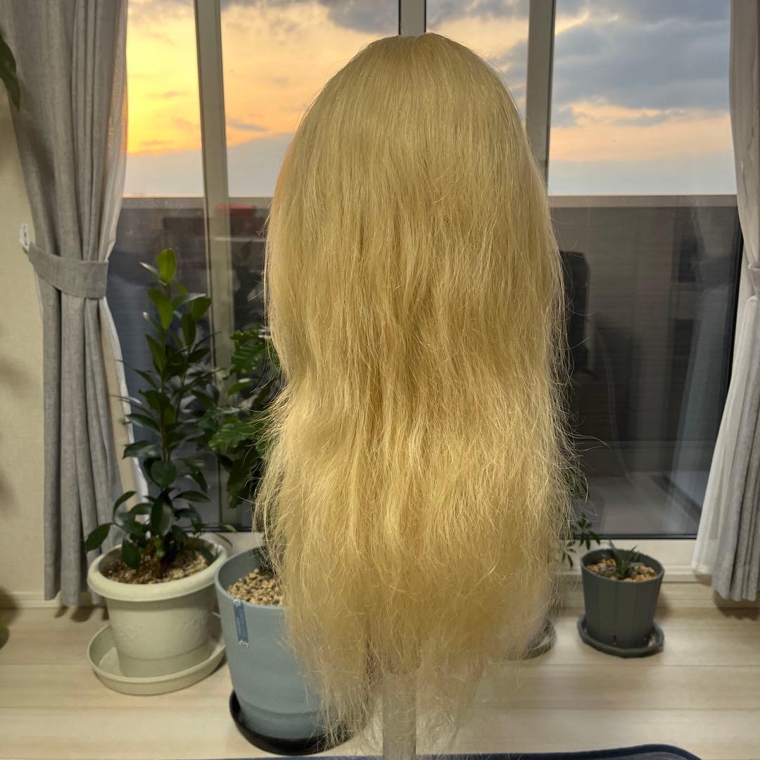 アップ練習ウィッグ　ヘアセット用ウィッグ(カットも可) 美容師必見