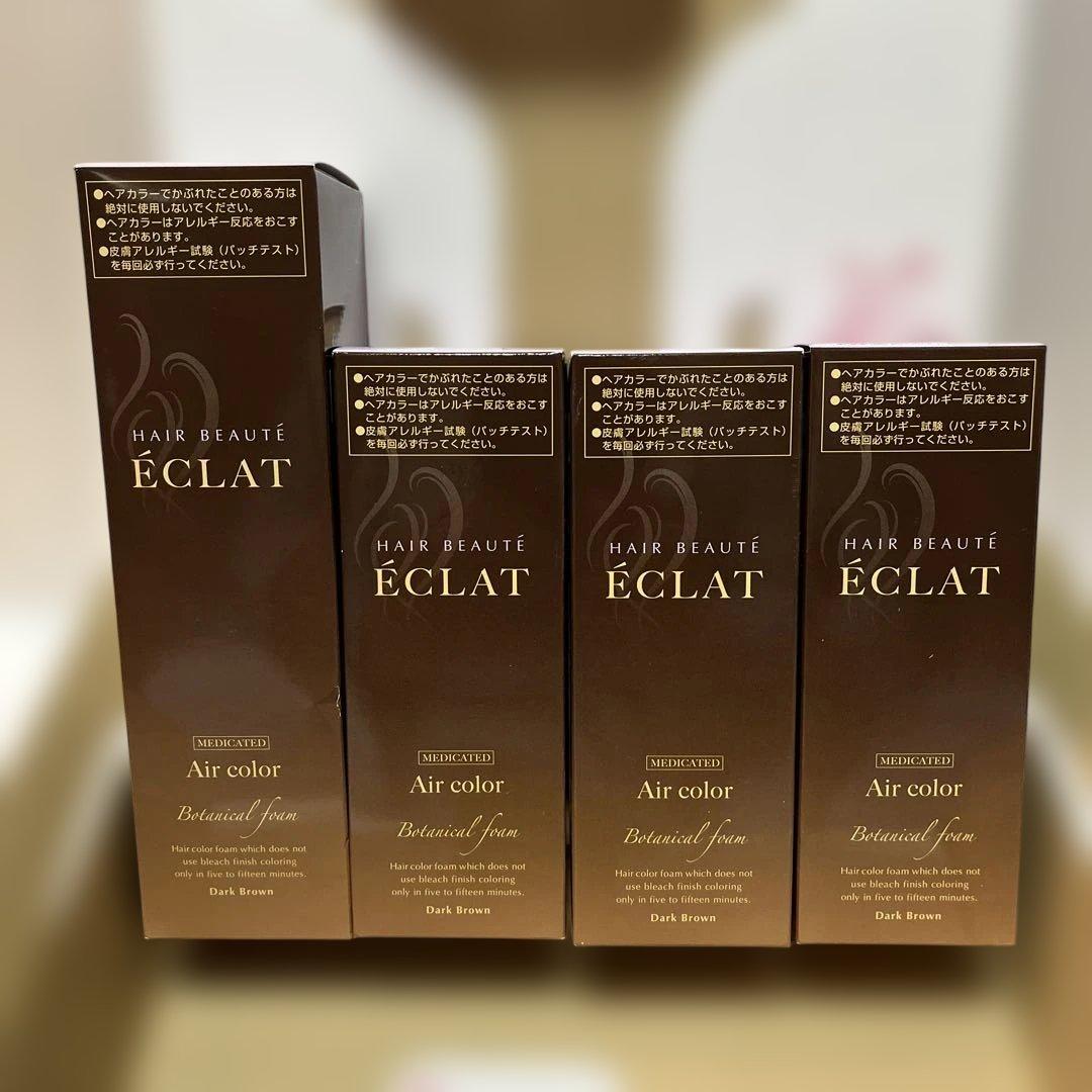 ヘアボーテ　エクラボタニカルエアカラー　ダークブラウン80g 3本150g1本