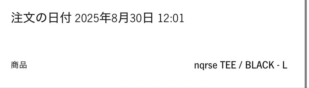 vaultroom nqrse TEE / BLACK Lサイズ