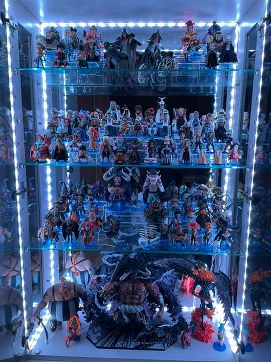 ワンピース　フィギュア　ワーコレ　ONE PIECEカード　ワールドコレクタブル