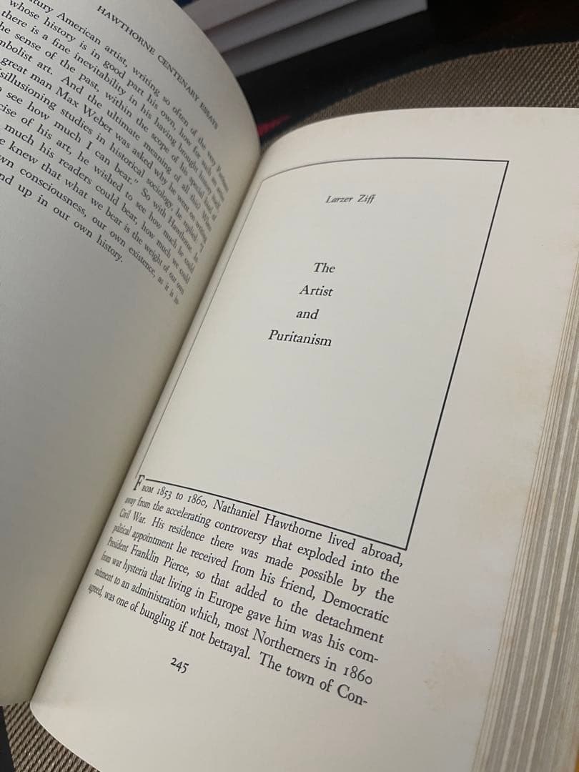 希少　Hawthorne Centenary Essays