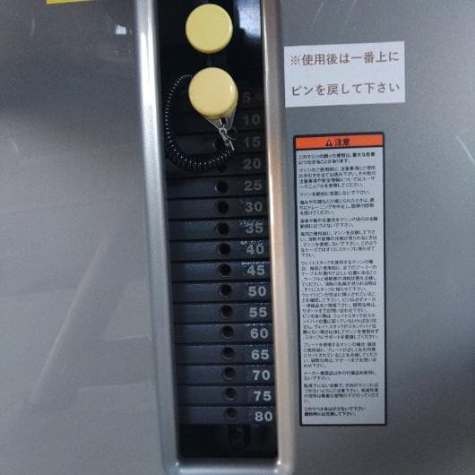 TECHNOGYM レッグエクステンション・カール2台セット（引取り限定）