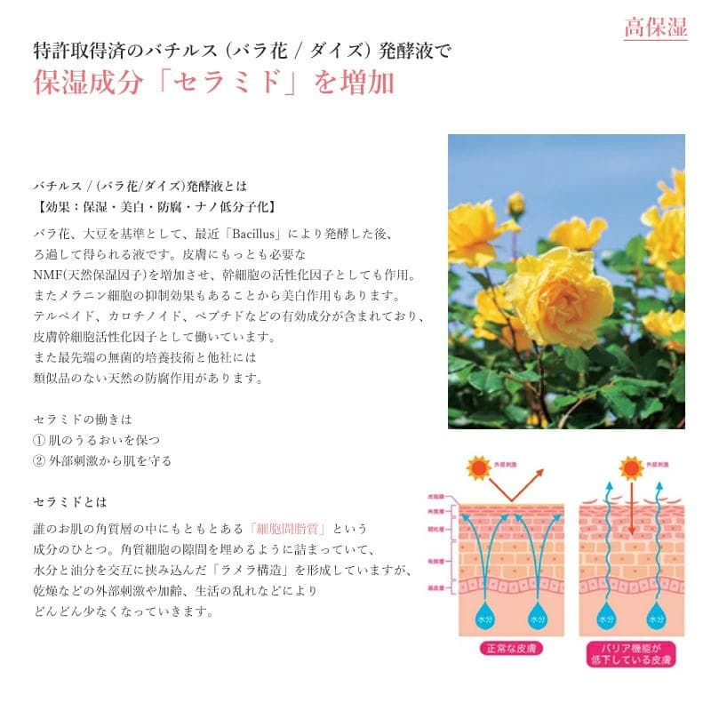 ゴモンベベ フェイスマスク セルモイスチャー エッセンス 美容液 幹細胞 高保湿