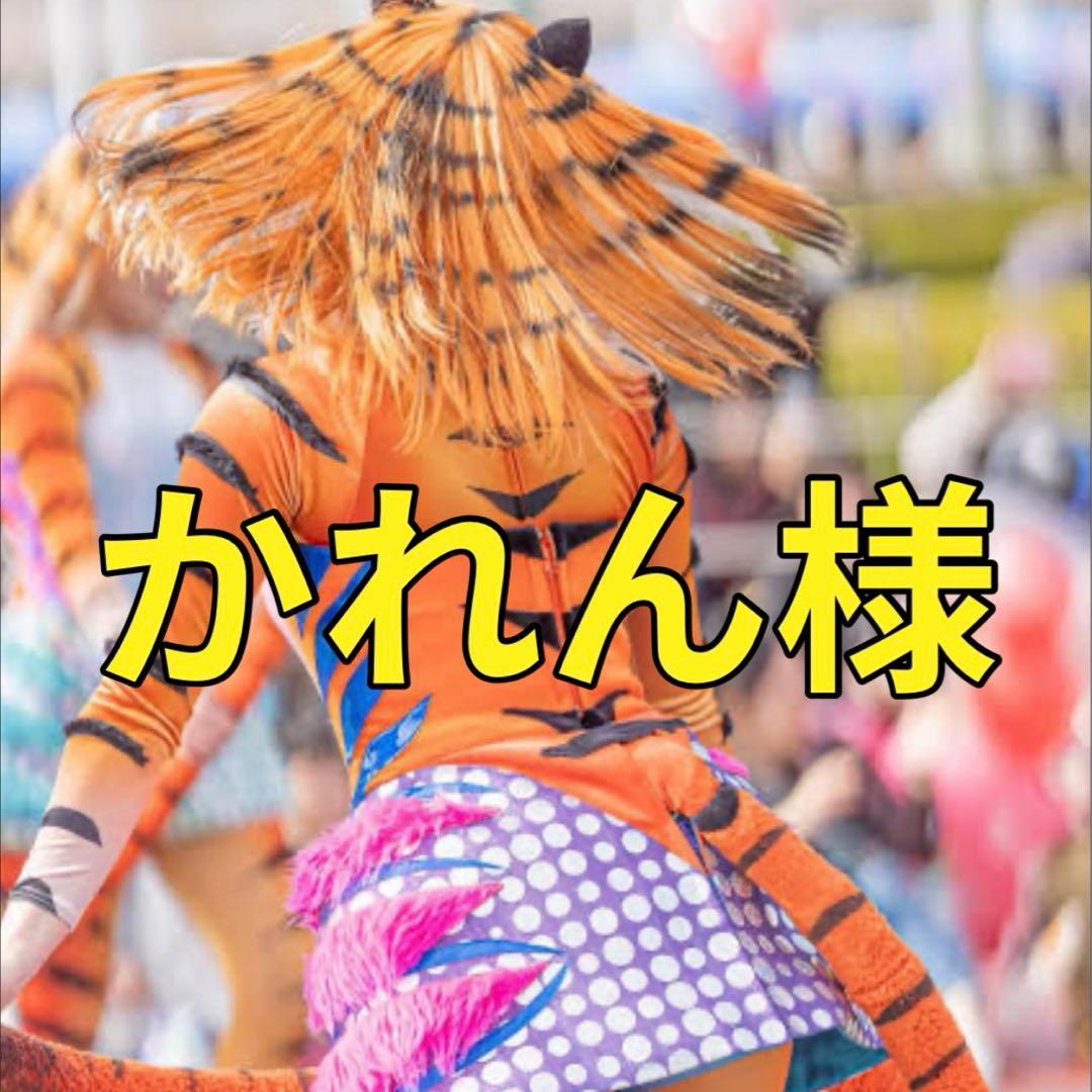 かれん様　ハーモニーインカラー　ハモカラ　ダンサー　トラ　虎　寅