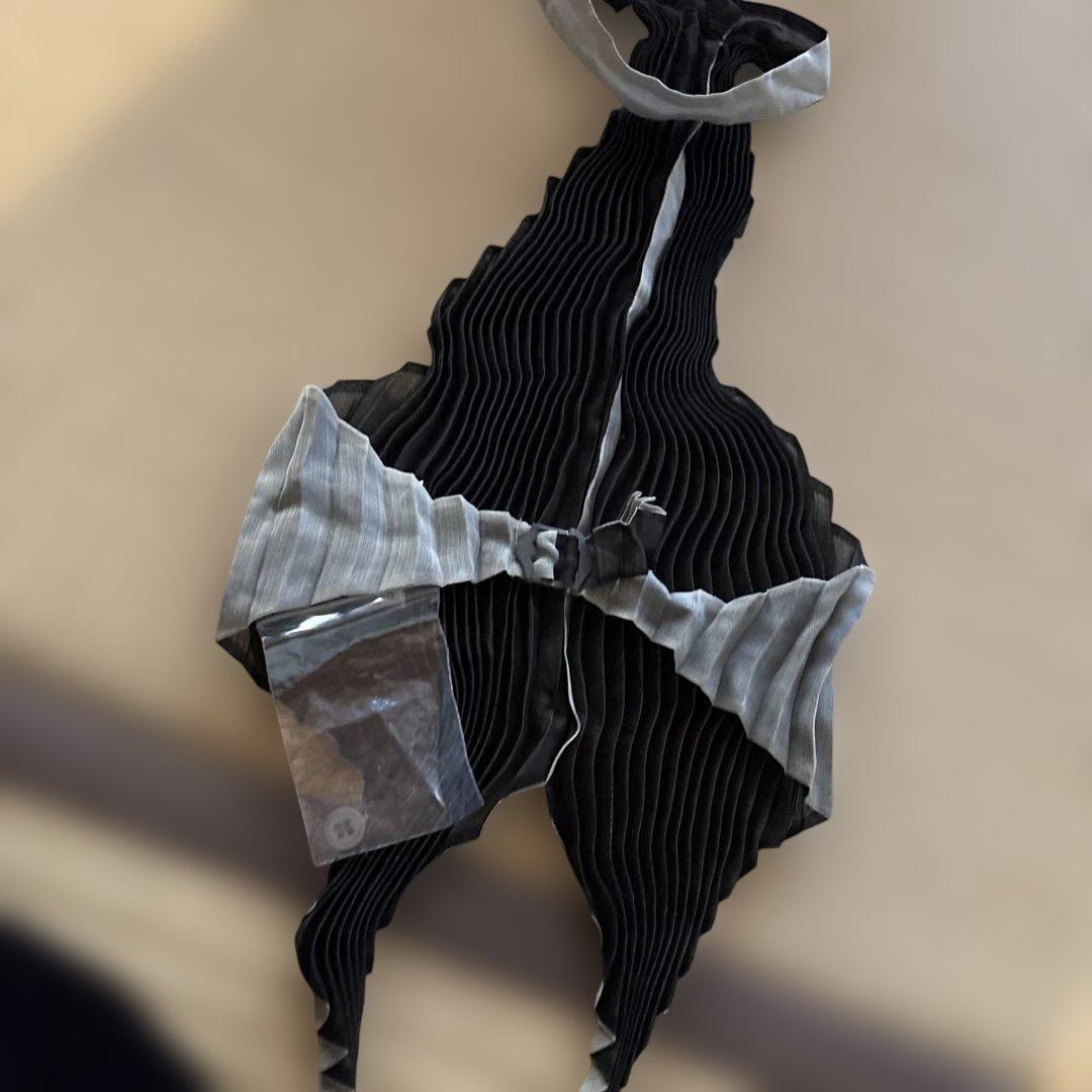 イッセイミヤケ　ベスト