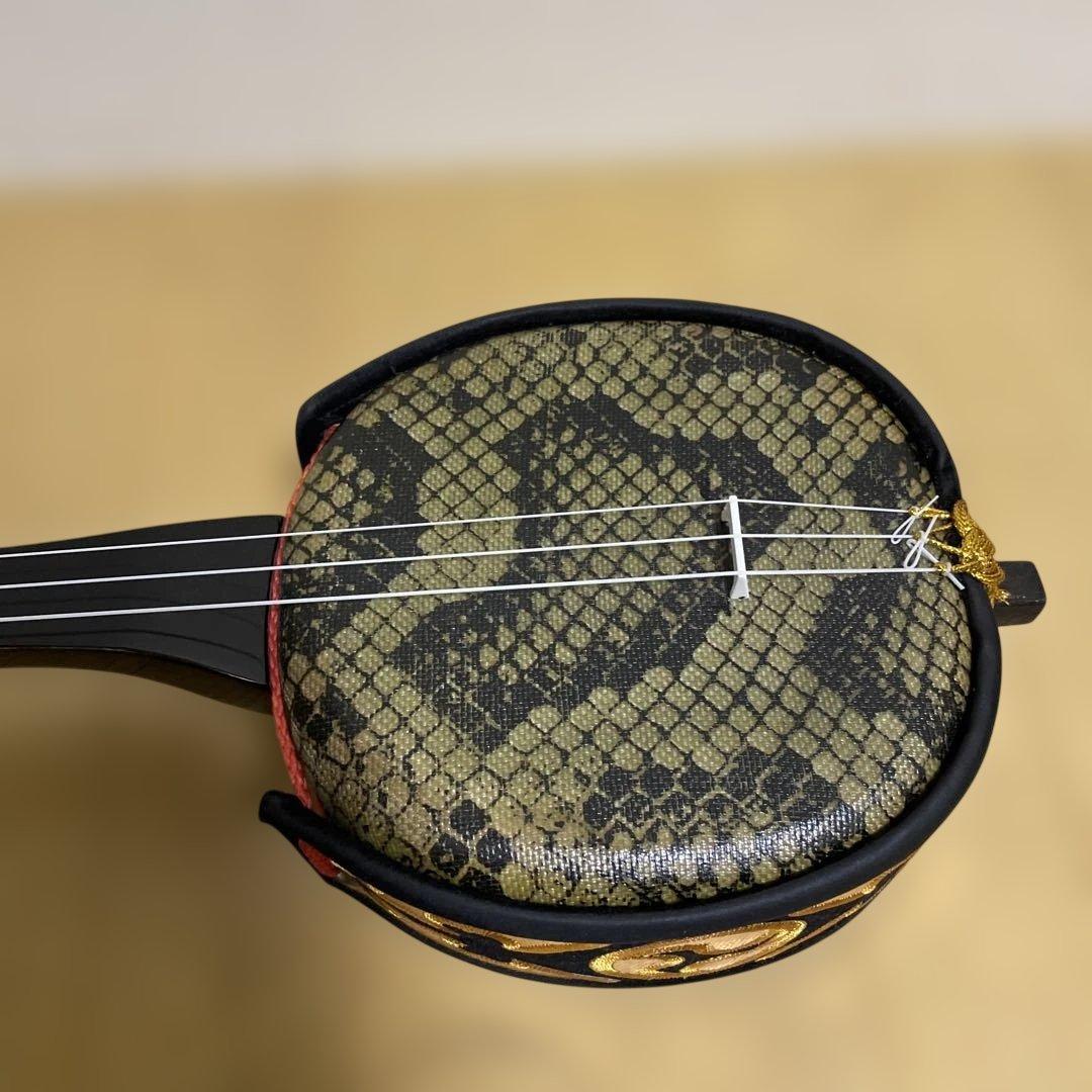 沖縄三線　リュック型ソフトケース付き