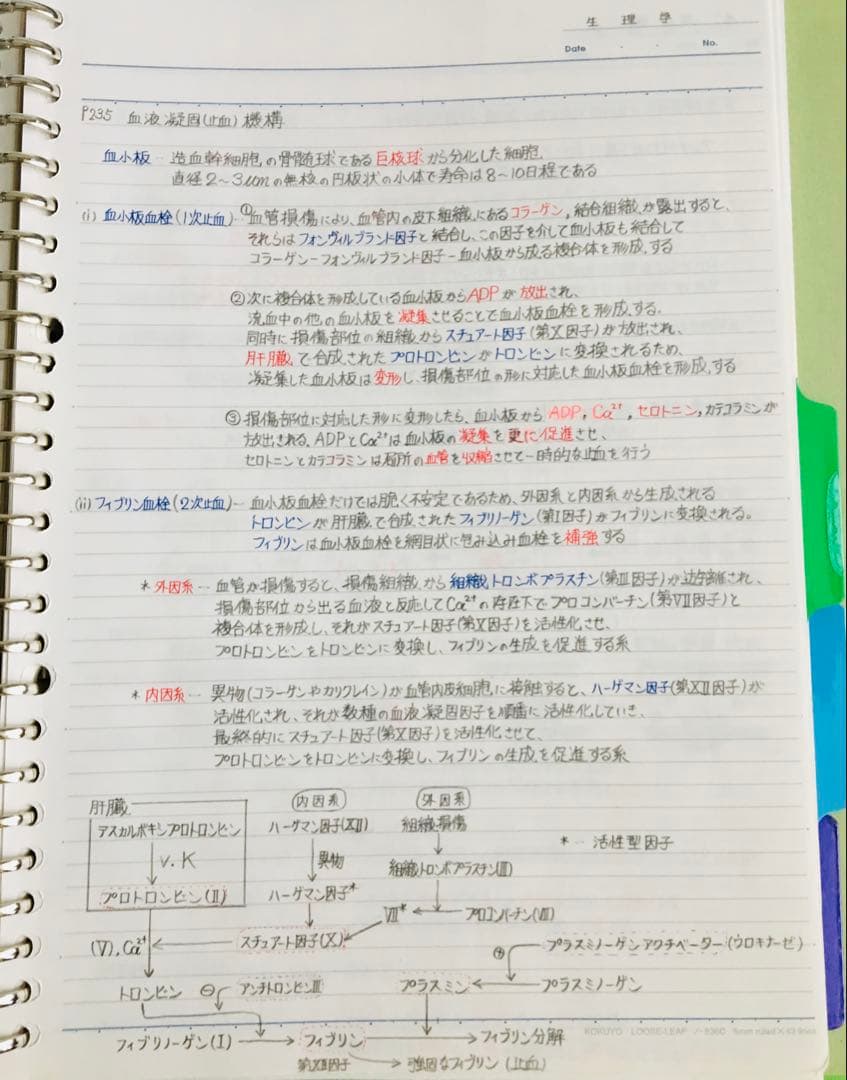 医療系学科定期試験、国家試験対策まとめノート【生物系セット】