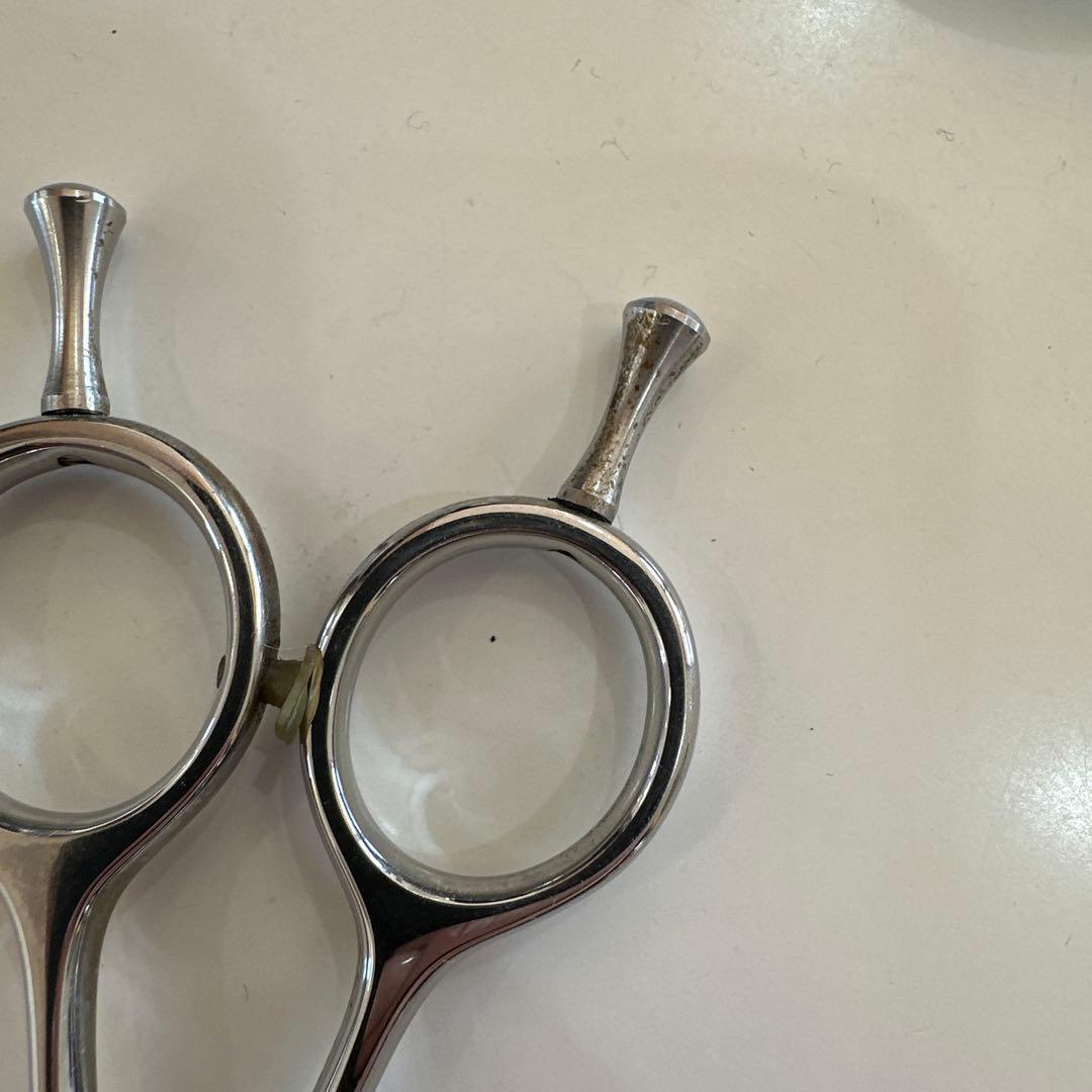 ユニゾン スキ鋏 S6014 サボテン