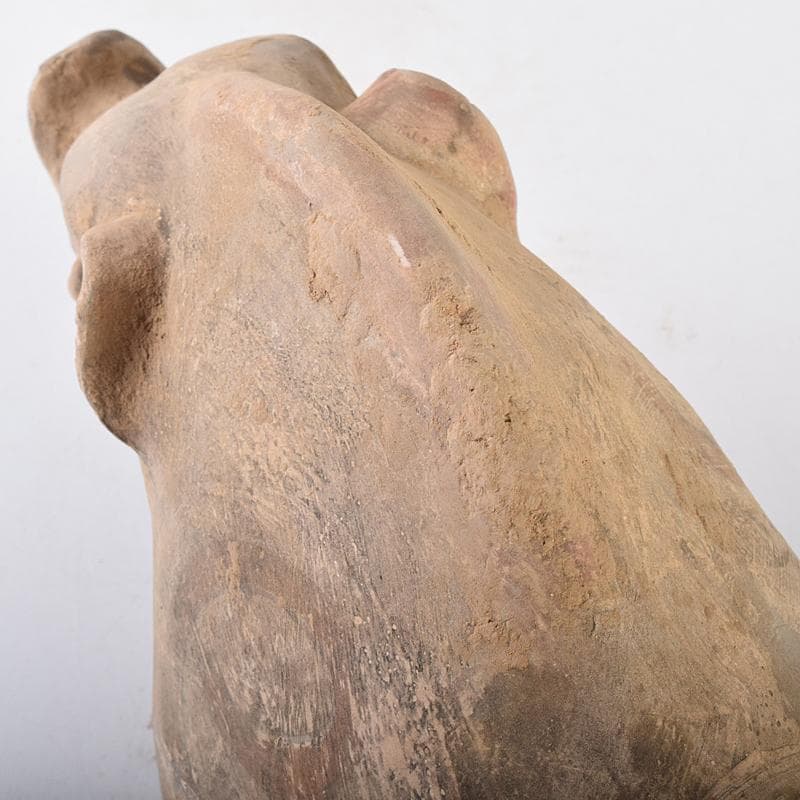 cafe-abakan　中国　加彩　豚俑　陶俑　置物　N　8950AE