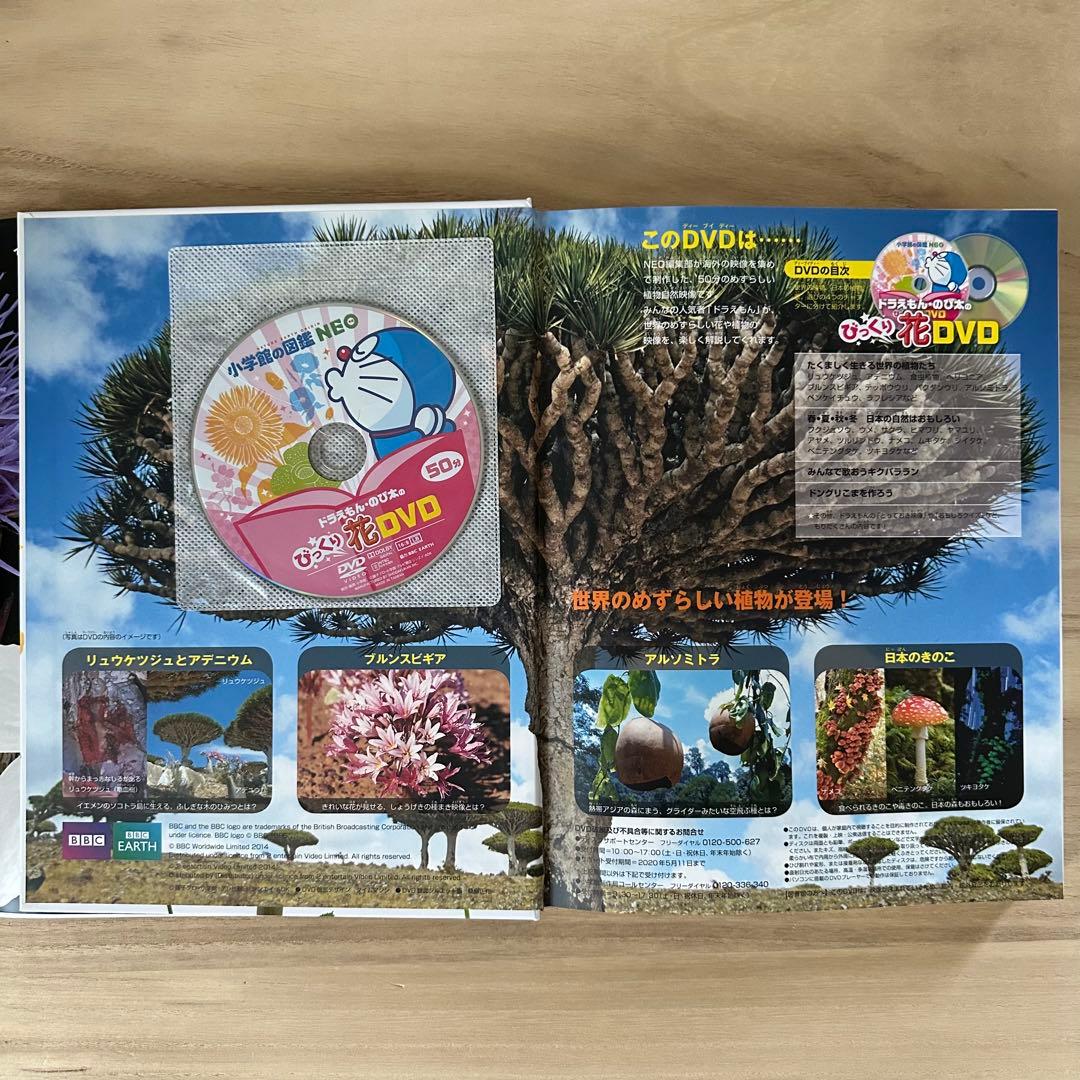 小学館の図鑑 NEO 【DVDつき】 8冊セット