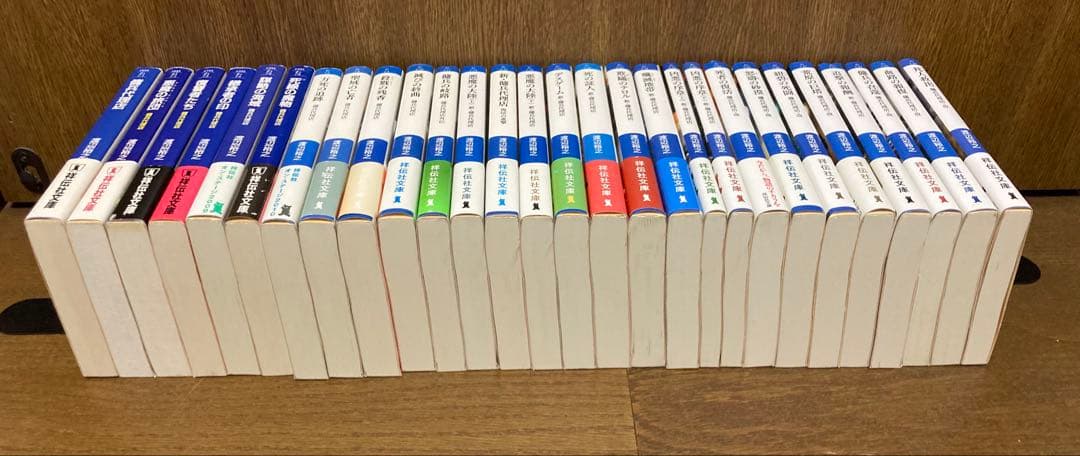 【小説】【全帯】　傭兵代理店　シリーズ全28巻セット　渡辺裕之