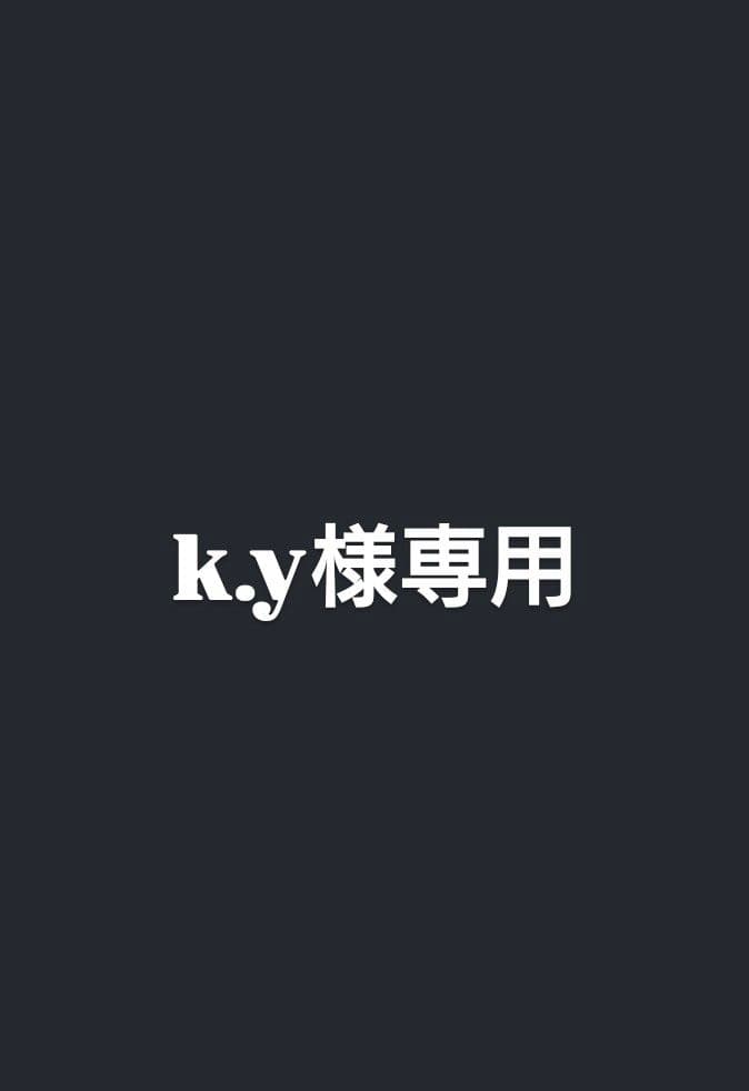 【k.y】ピカチュウ 15周年記念プロモ 229/BW-P ポケモンカード