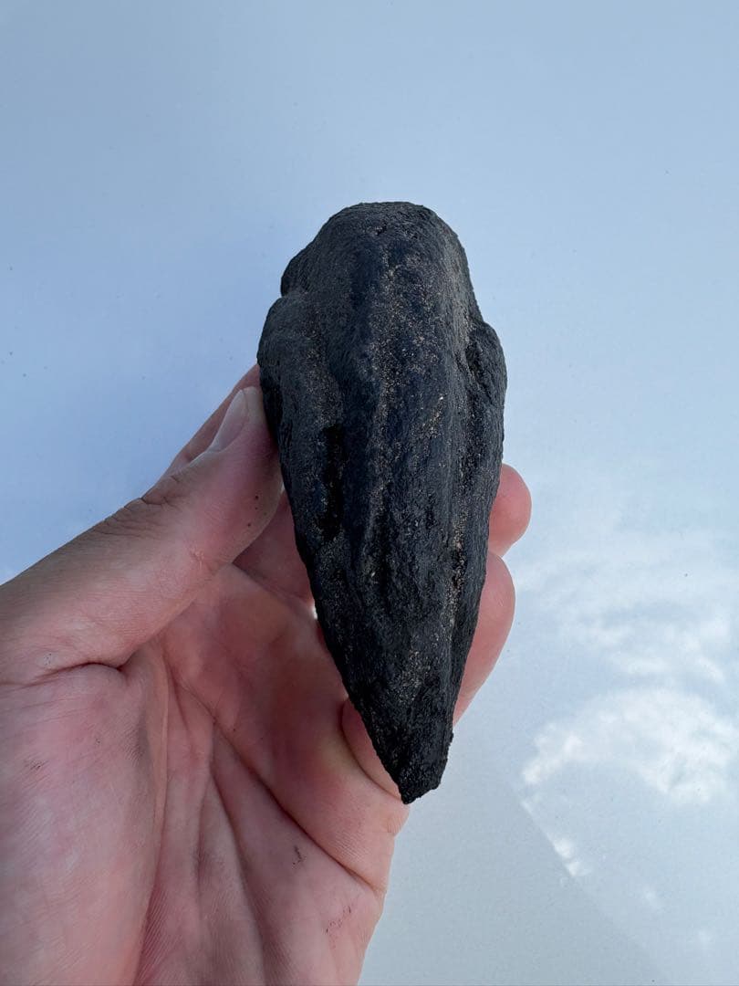 アロサウルス　化石　フットクロウ　恐竜