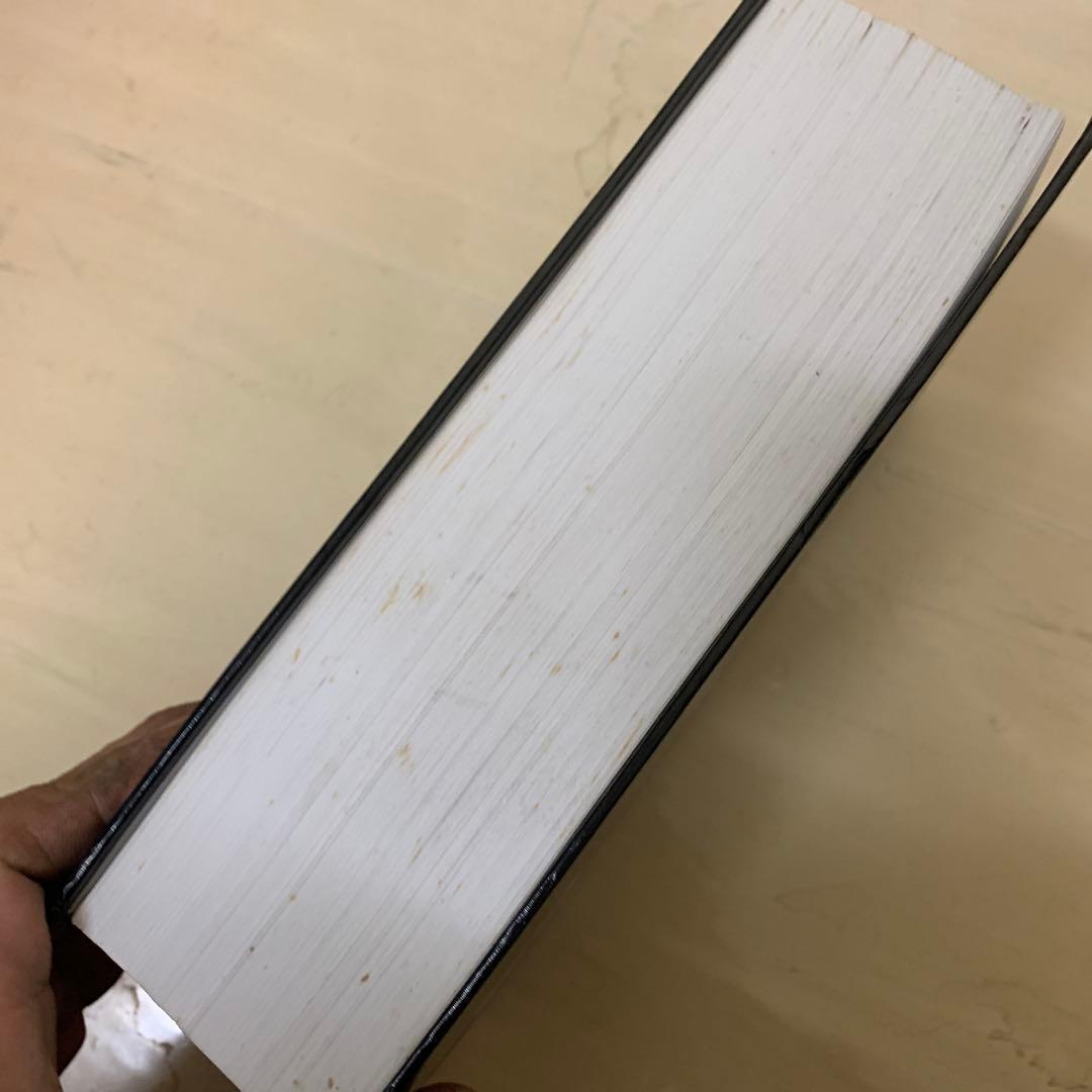 Altisch-Deutsches Woerterbuch 洋書