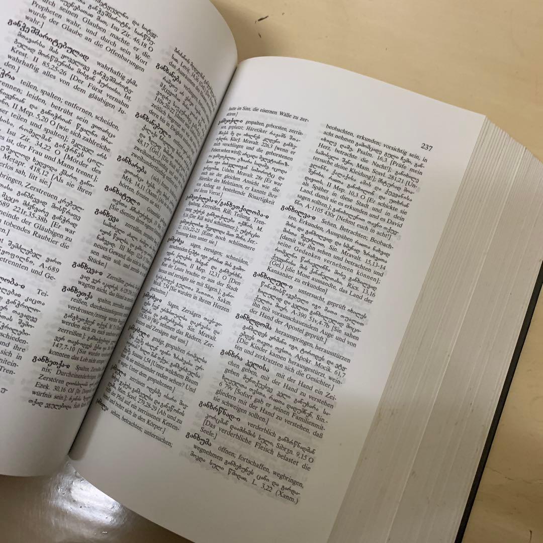 Altisch-Deutsches Woerterbuch 洋書