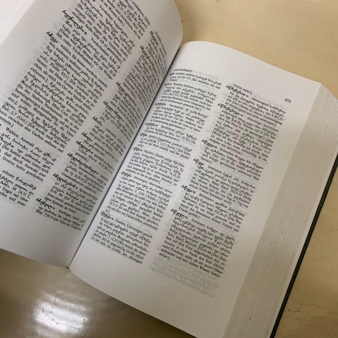 Altisch-Deutsches Woerterbuch 洋書