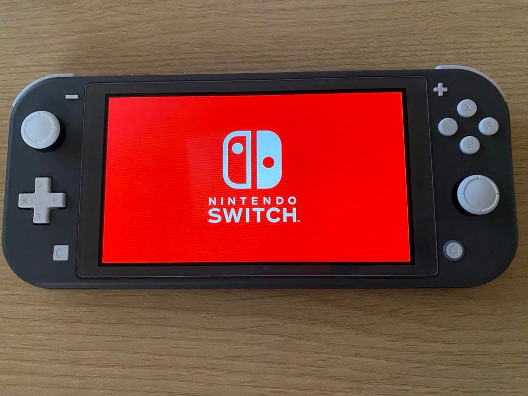 Nintendo Switch Lite グレー 充電器 フィルム スプラ2付き