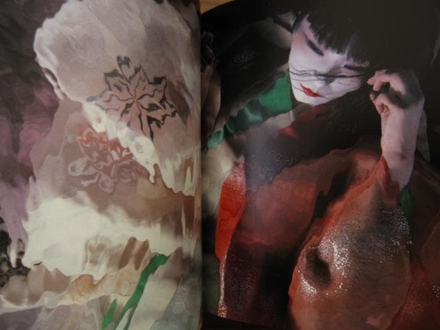 光と鬼　横須賀功光の写真魔術　初版　帯付き　山口小夜子