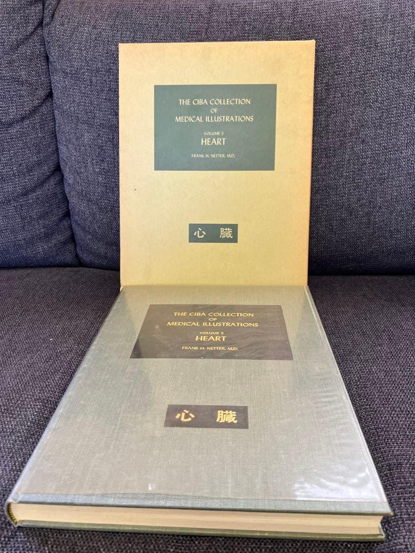 医学図譜集 心臓編【Frank H. Netter】解剖学専門書 医学イラスト本