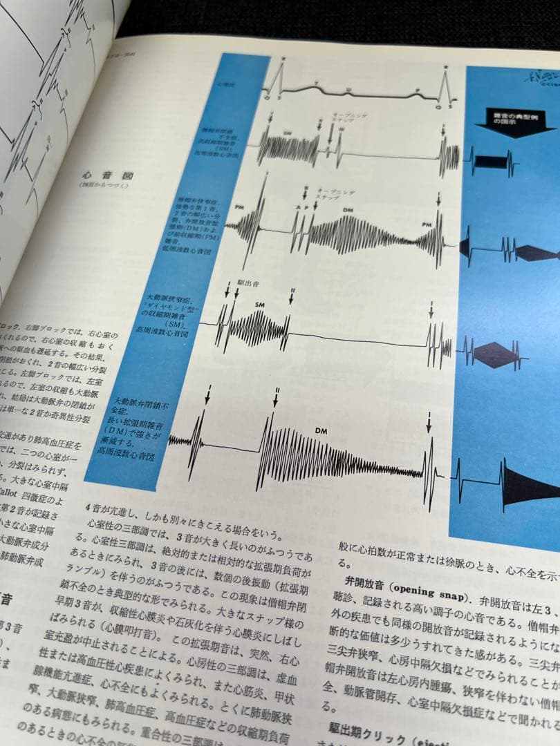 医学図譜集 心臓編【Frank H. Netter】解剖学専門書 医学イラスト本