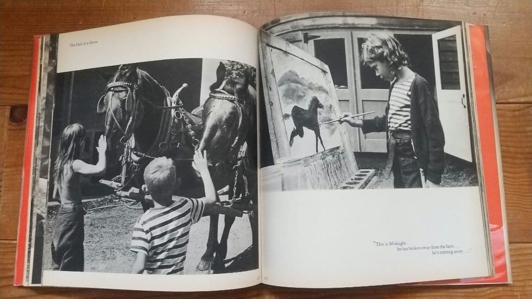 summer's children バーバラ・モーガン 写真集