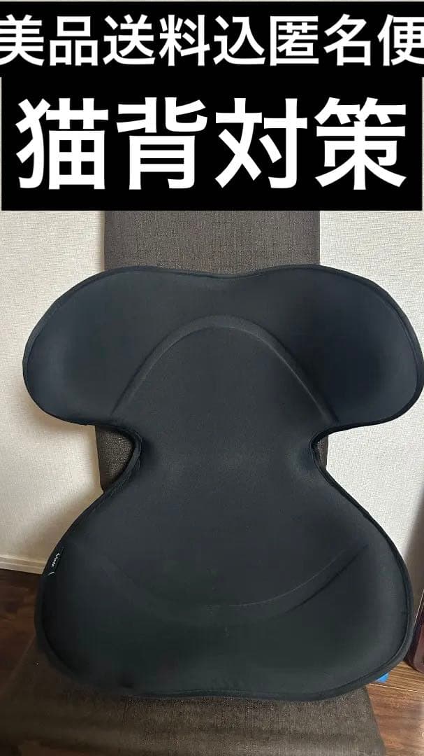 S Style 骨盤・姿勢矯正クッション ブラック【美品送料込匿名便】