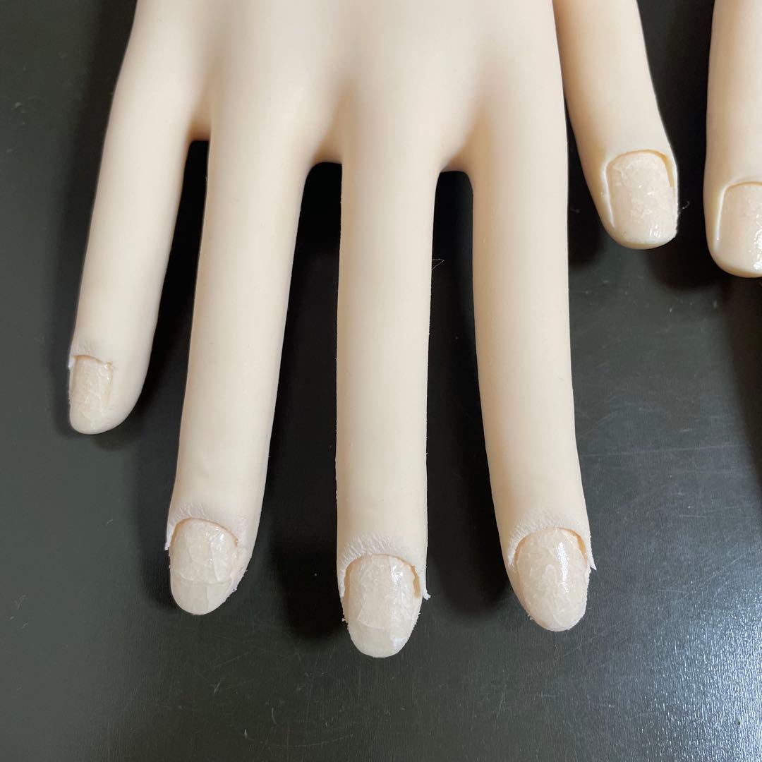 JNEC 検定用 認定モデルハンド 両手 ネイリスト技能検定