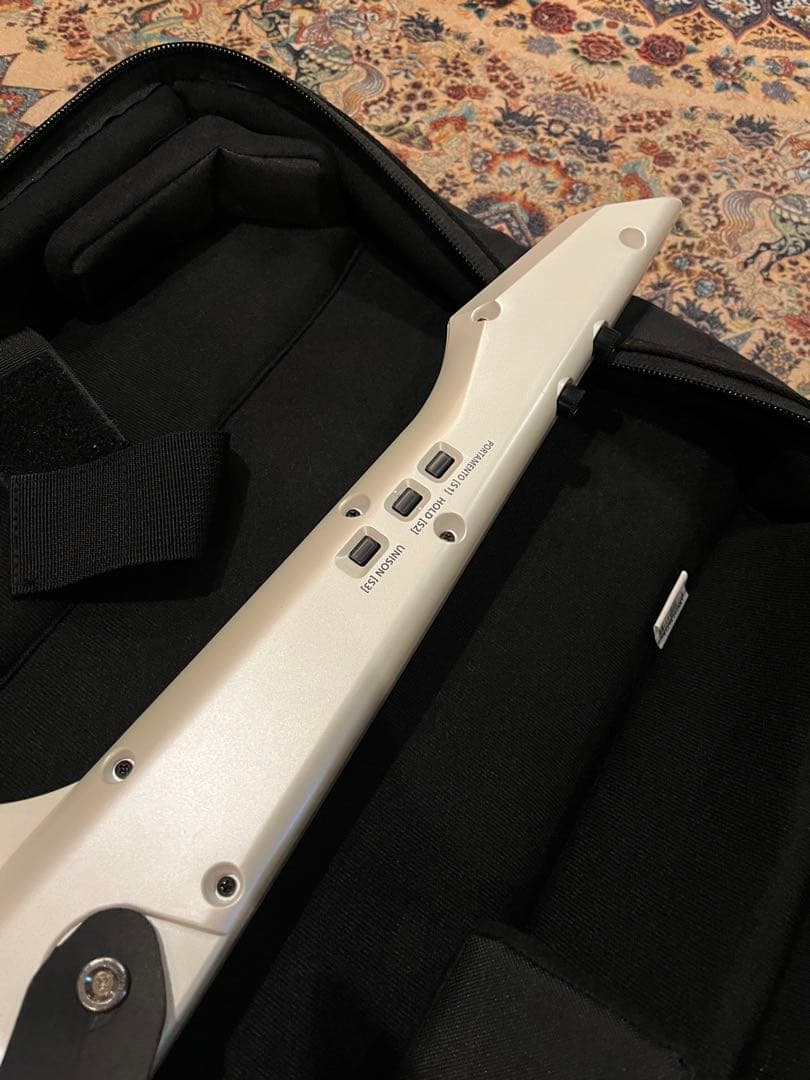 Roland AX-Edge ショルダーキーボード,シンセサイザー