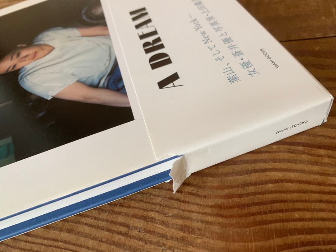 蒼井優　a dream　帯付美品　写真集　上田義彦 初版