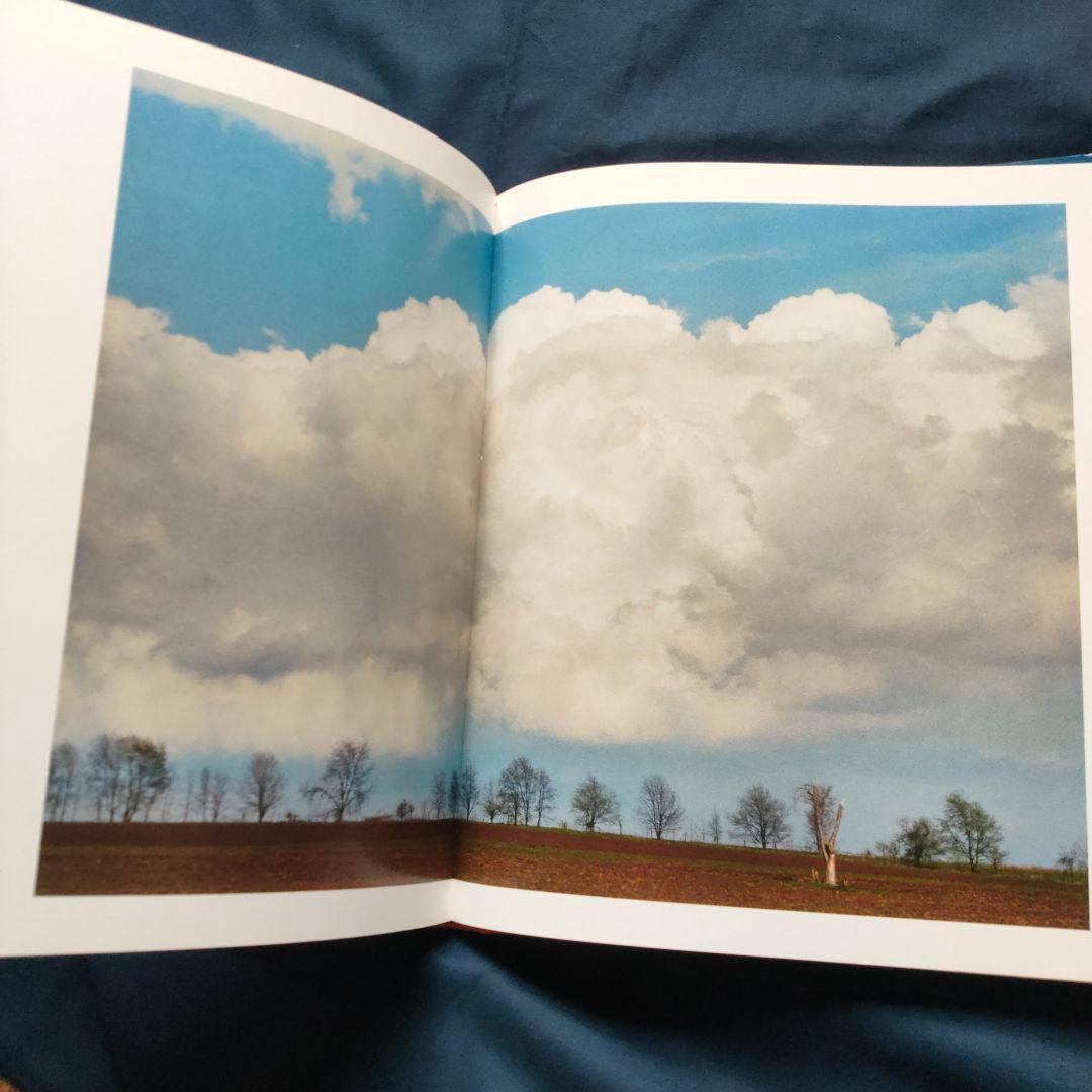 William Eggleston Democratic Camera 洋書
